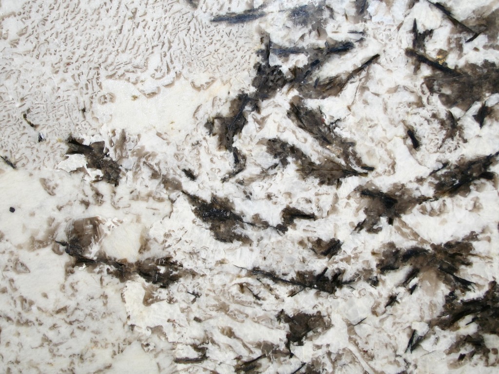 Aspen White