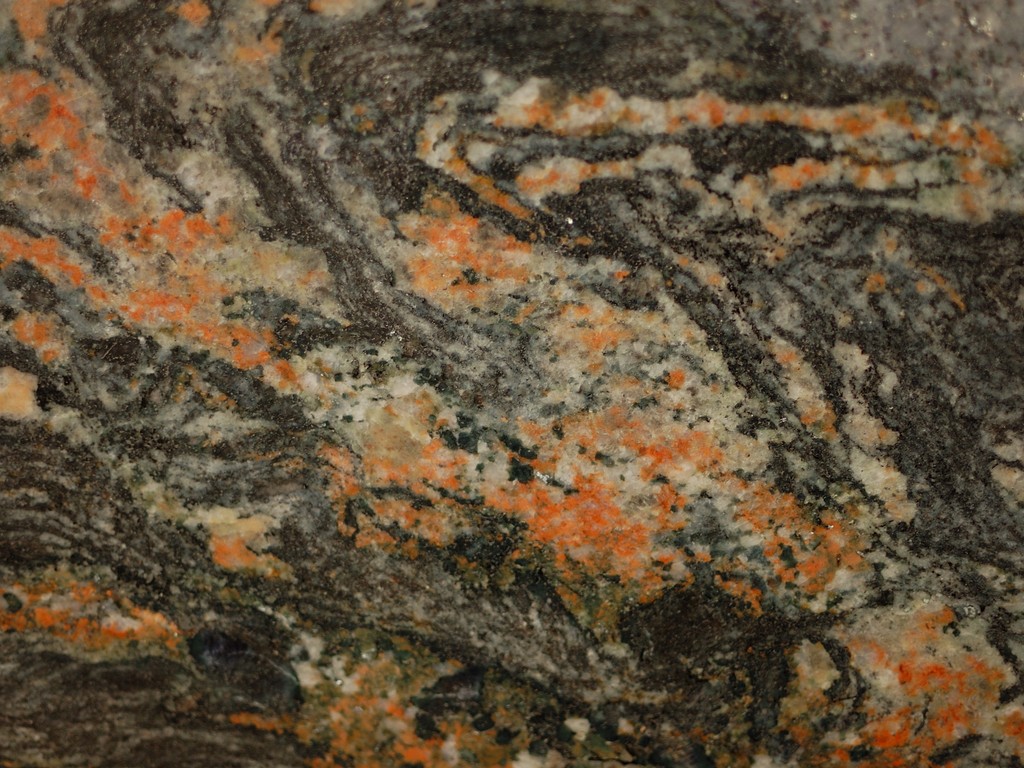 Tropical Black